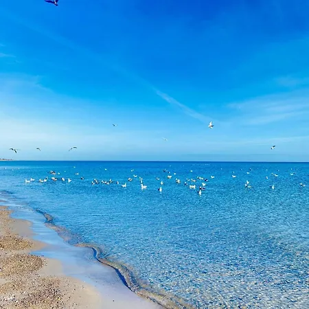 Apartment Jasmin Ostsee *