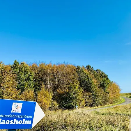 Jasmin Ostsee